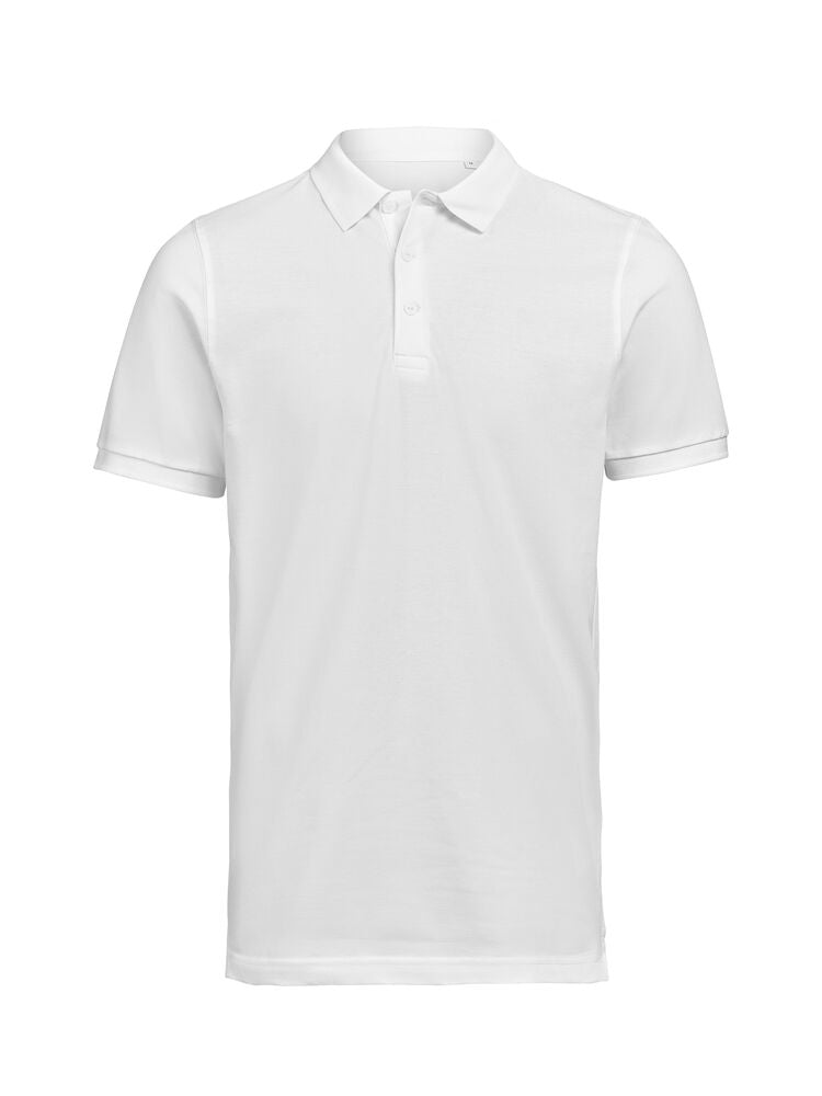UM Polo (OCS)