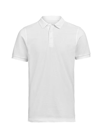 compare product UM Polo (OCS)
