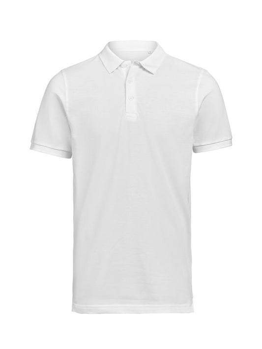 UM Polo (OCS)