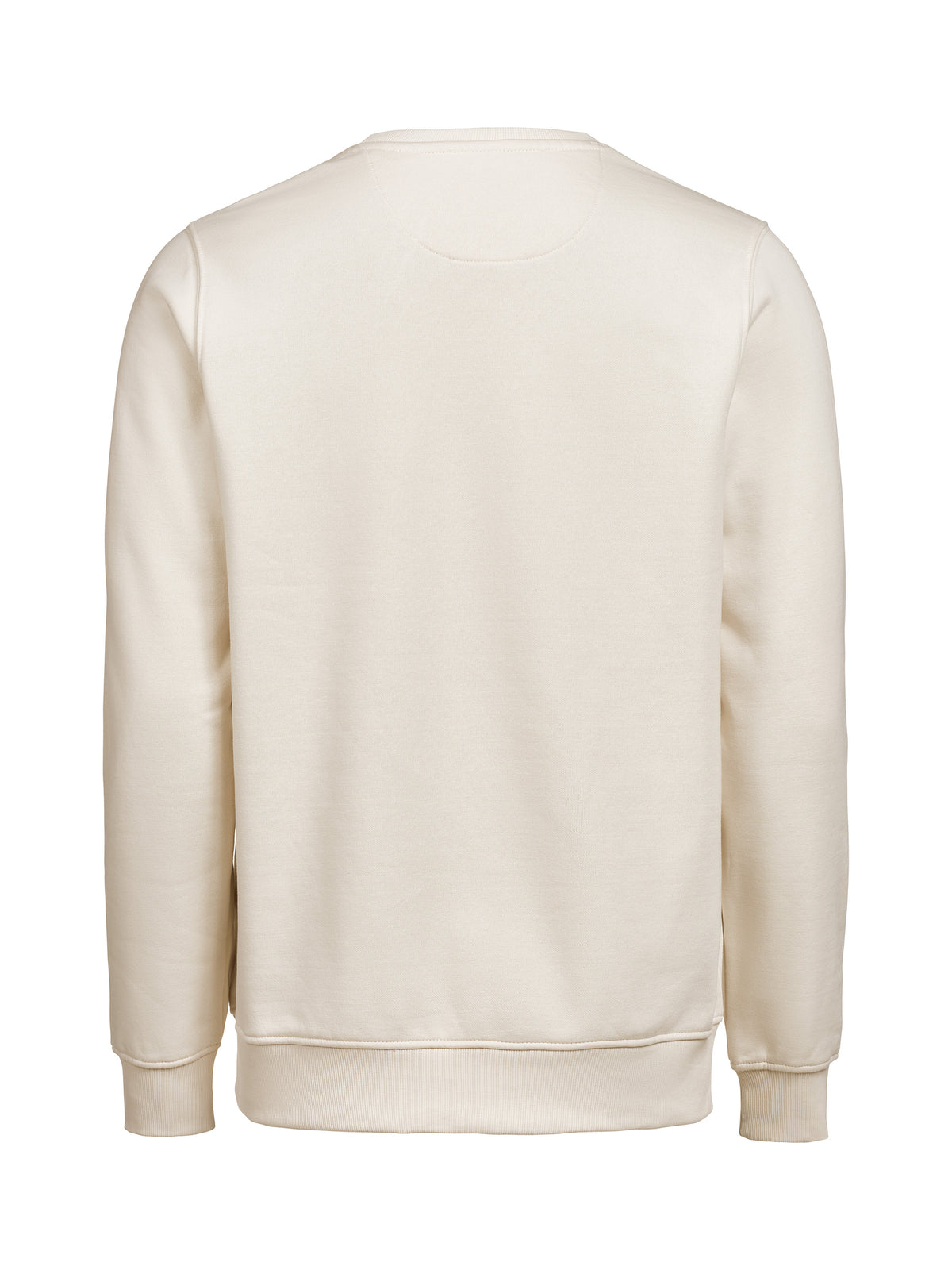 Untagged Movement Crewneck (OCS-RCS)