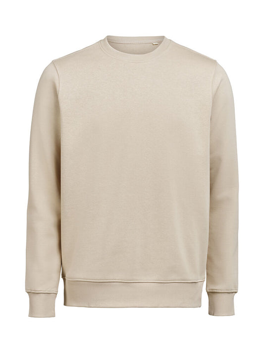 UM Crewneck (OCS-RCS)